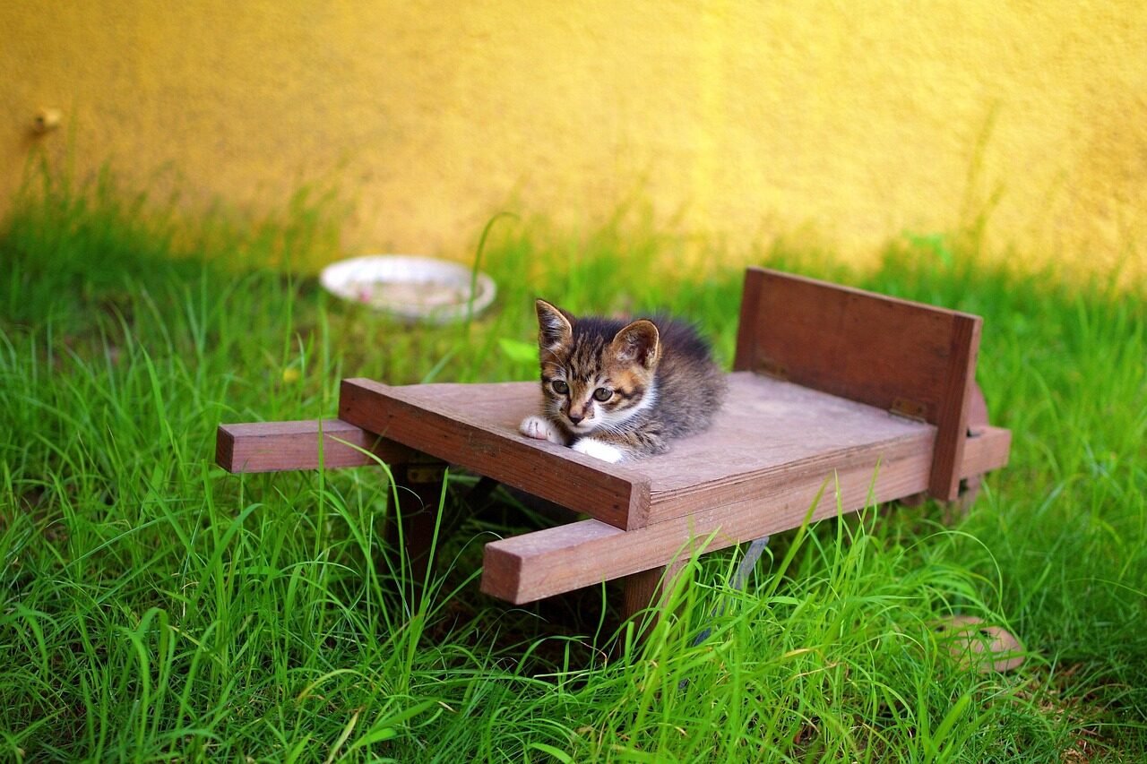 a white plate topped with a salad covered in shrimp