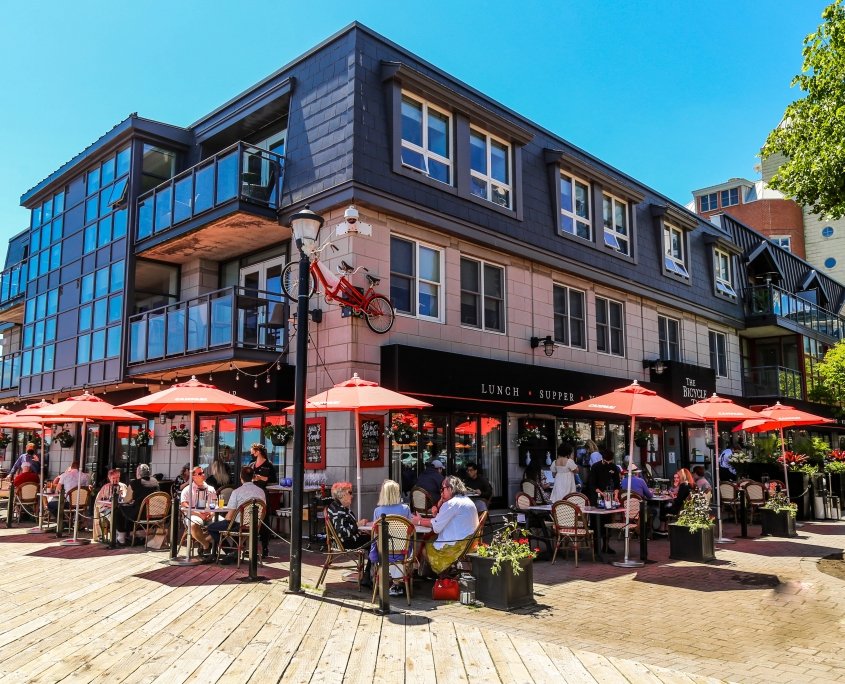 whale jumping above water