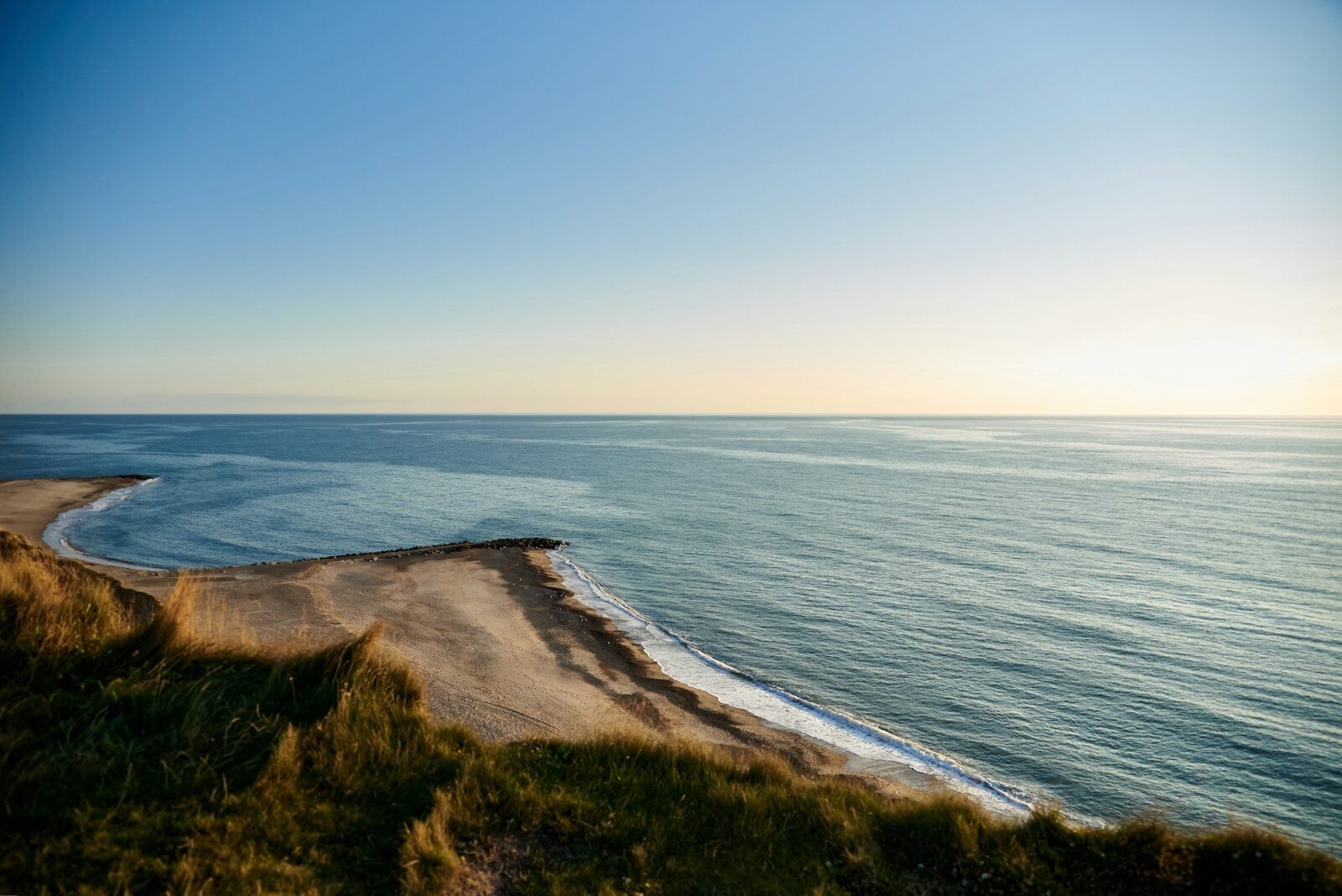 whale jumping above water